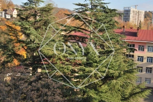 Изображение 8