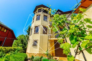 Изображение 12