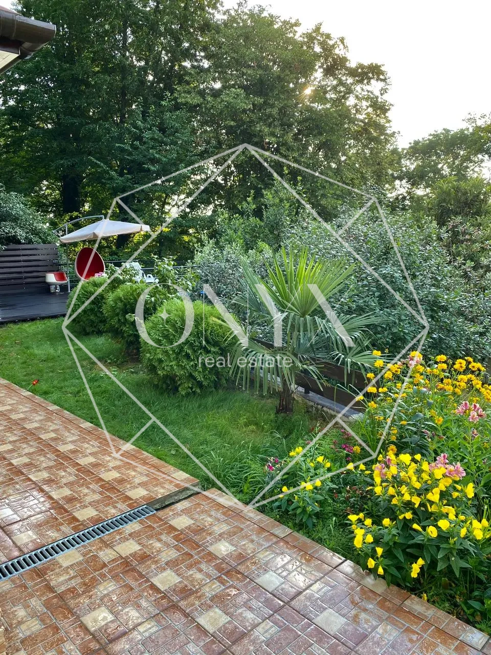 Изображение 11