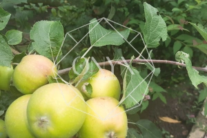 Изображение 10