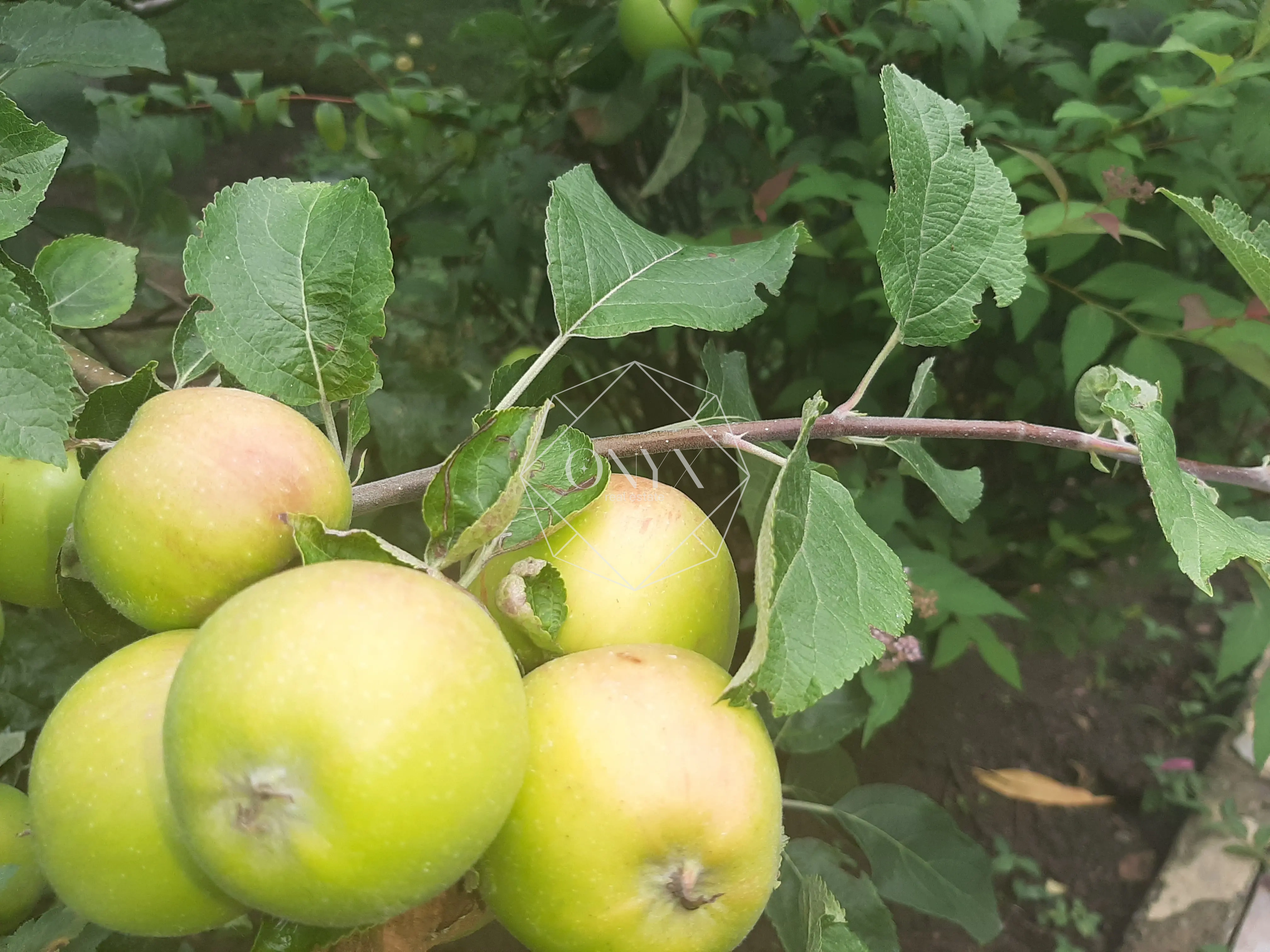 Изображение 10