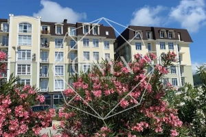 Изображение 7