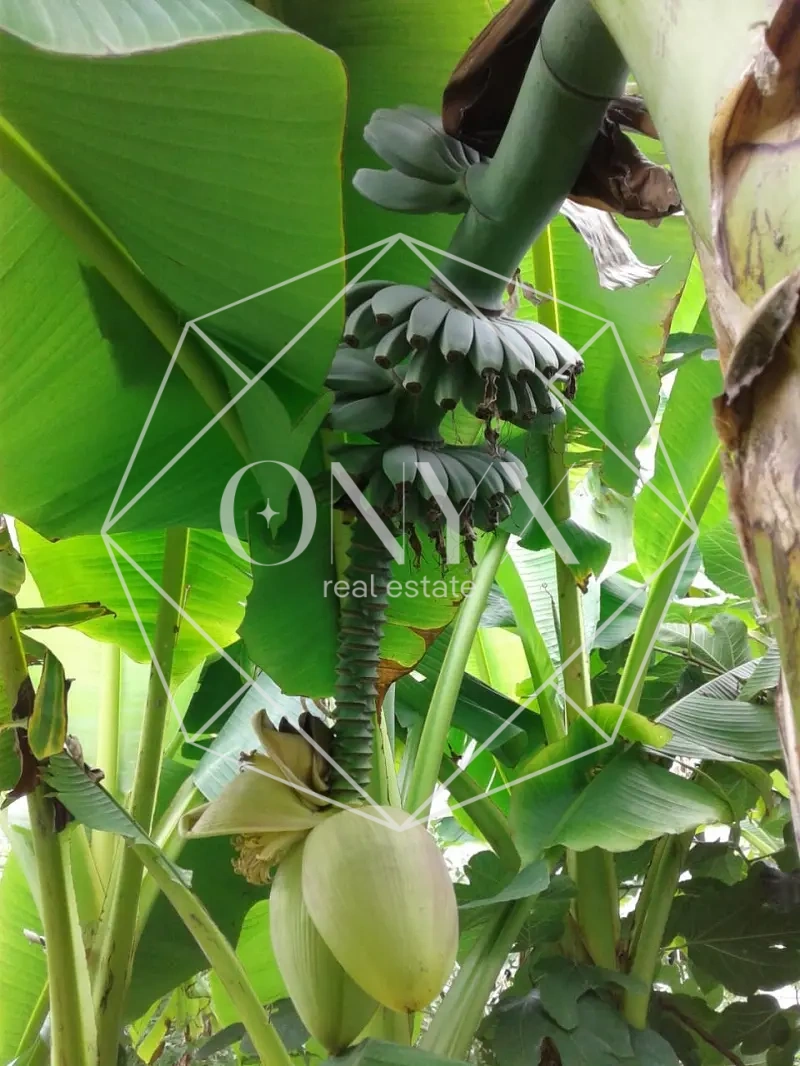 Изображение 15