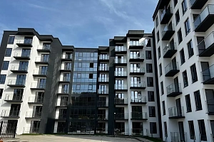 Апартамент бизнес класса с видом на чайные хо...