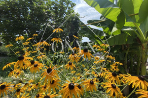 Изображение 10