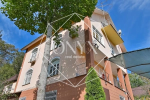 Изображение 12