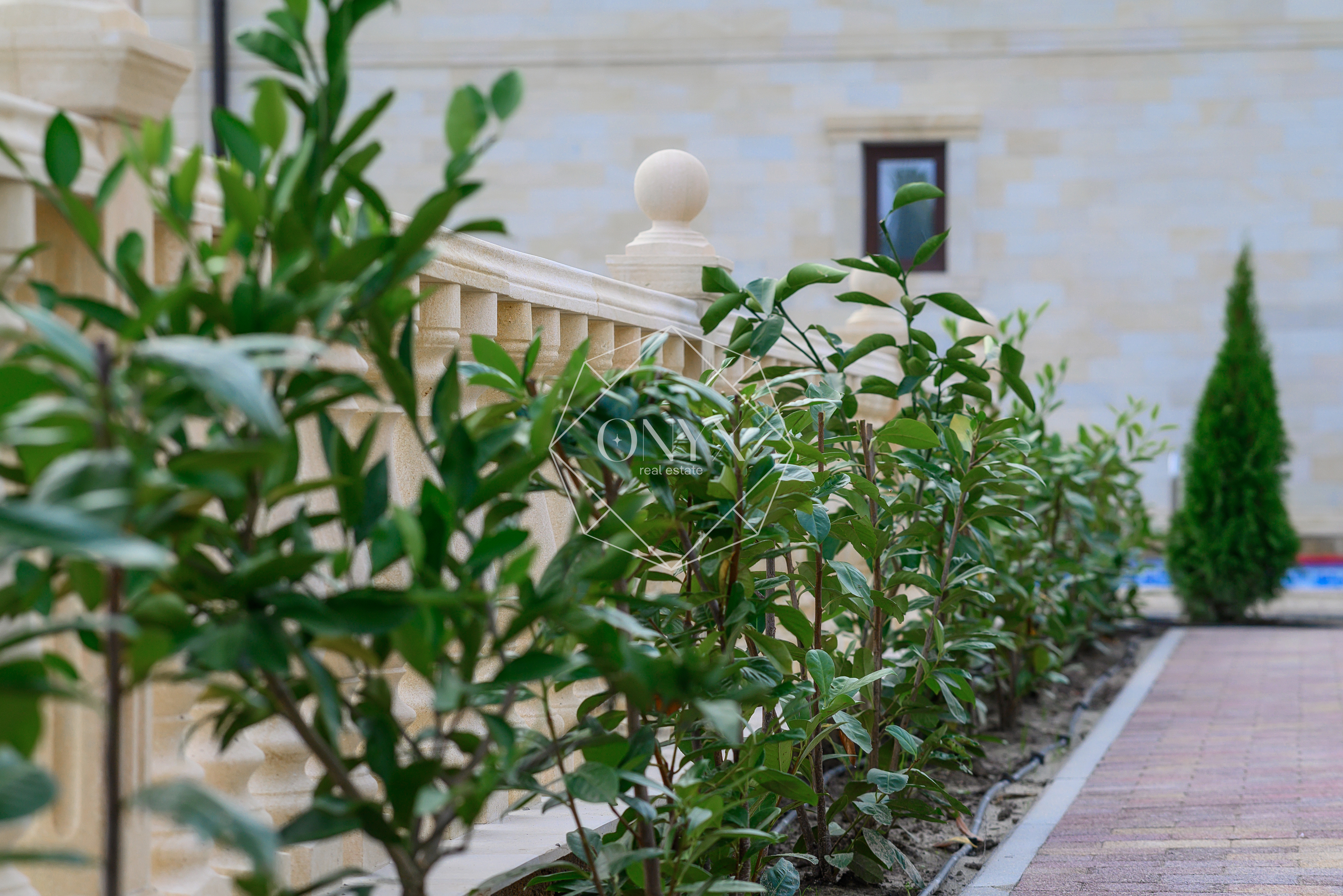 Изображение 13