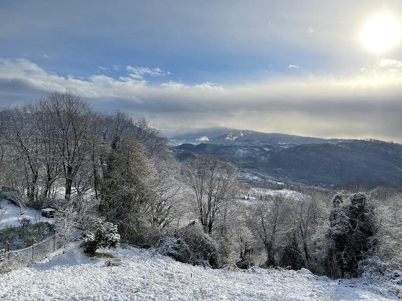 Изображение 24