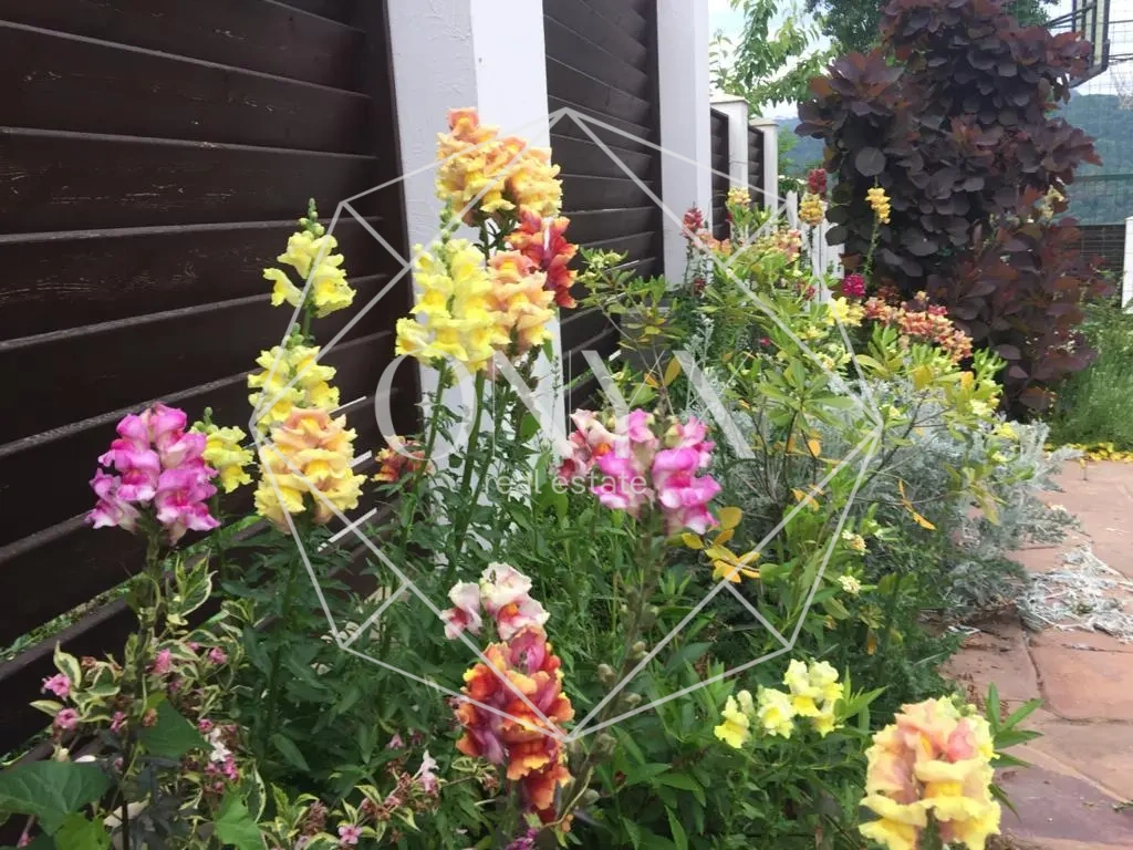 Изображение 11