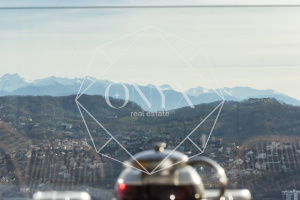 Изображение 12