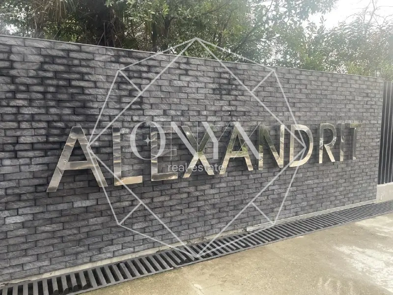 Изображение 10