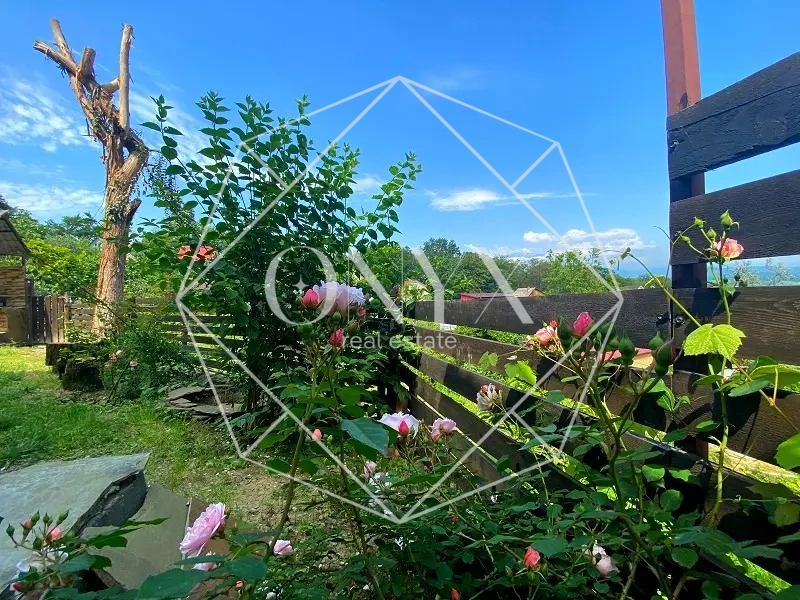 Изображение 13