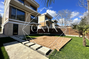 Изображение 8