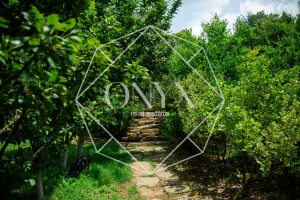 Изображение 9