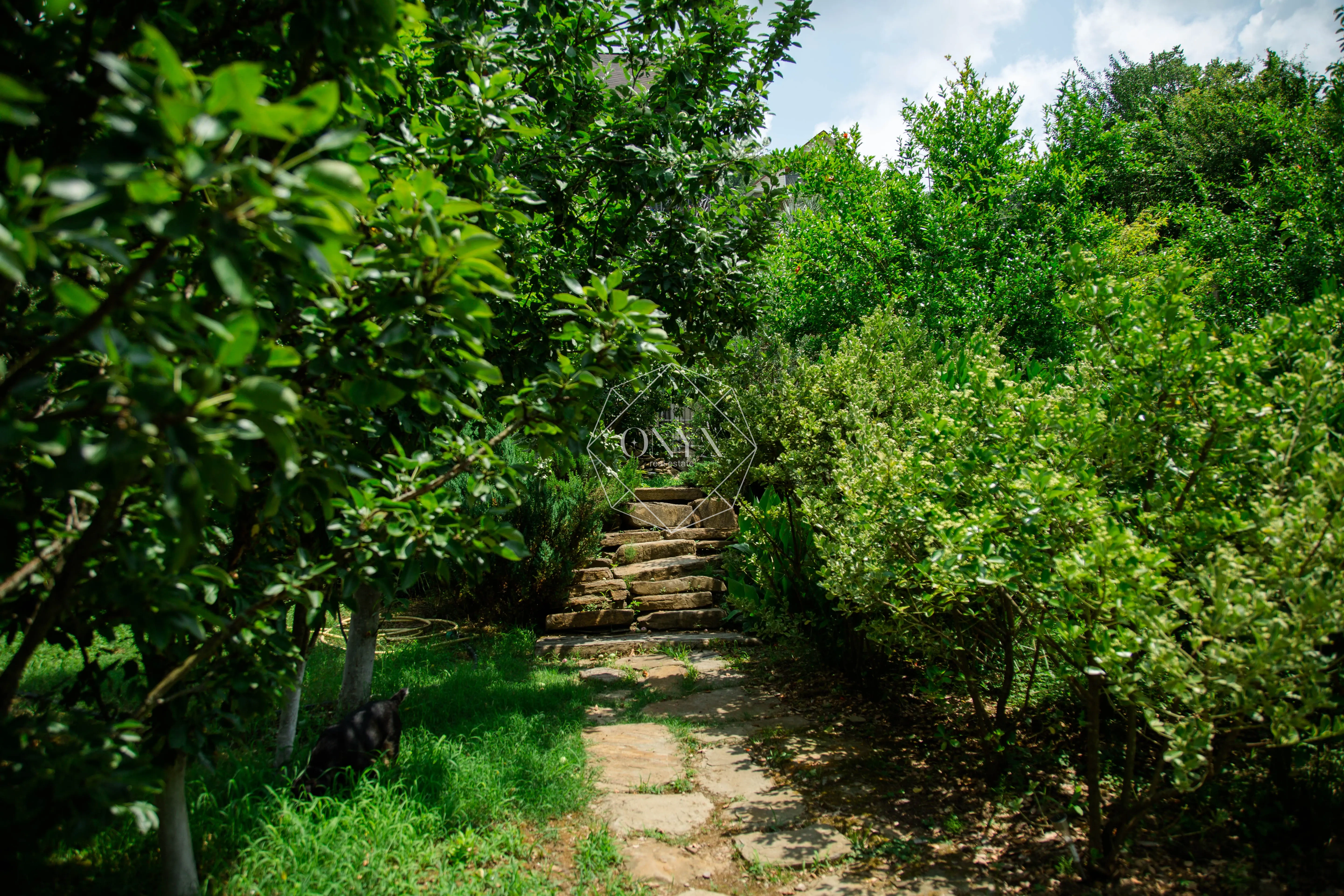 Изображение 9