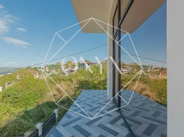 Изображение 8