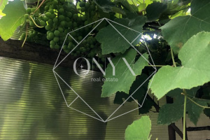 Изображение 13