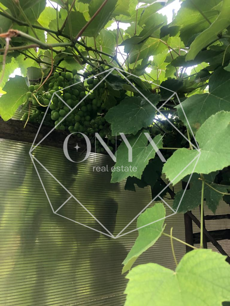 Изображение 13