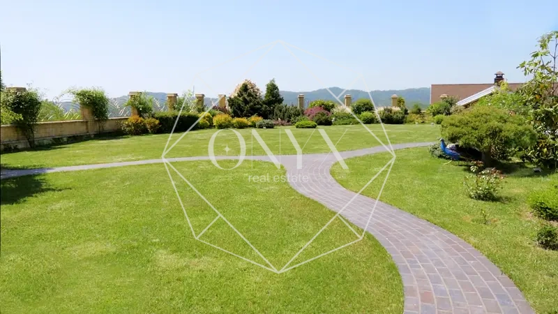 Изображение 12