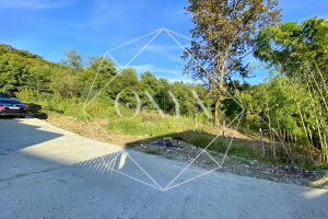 Изображение 14