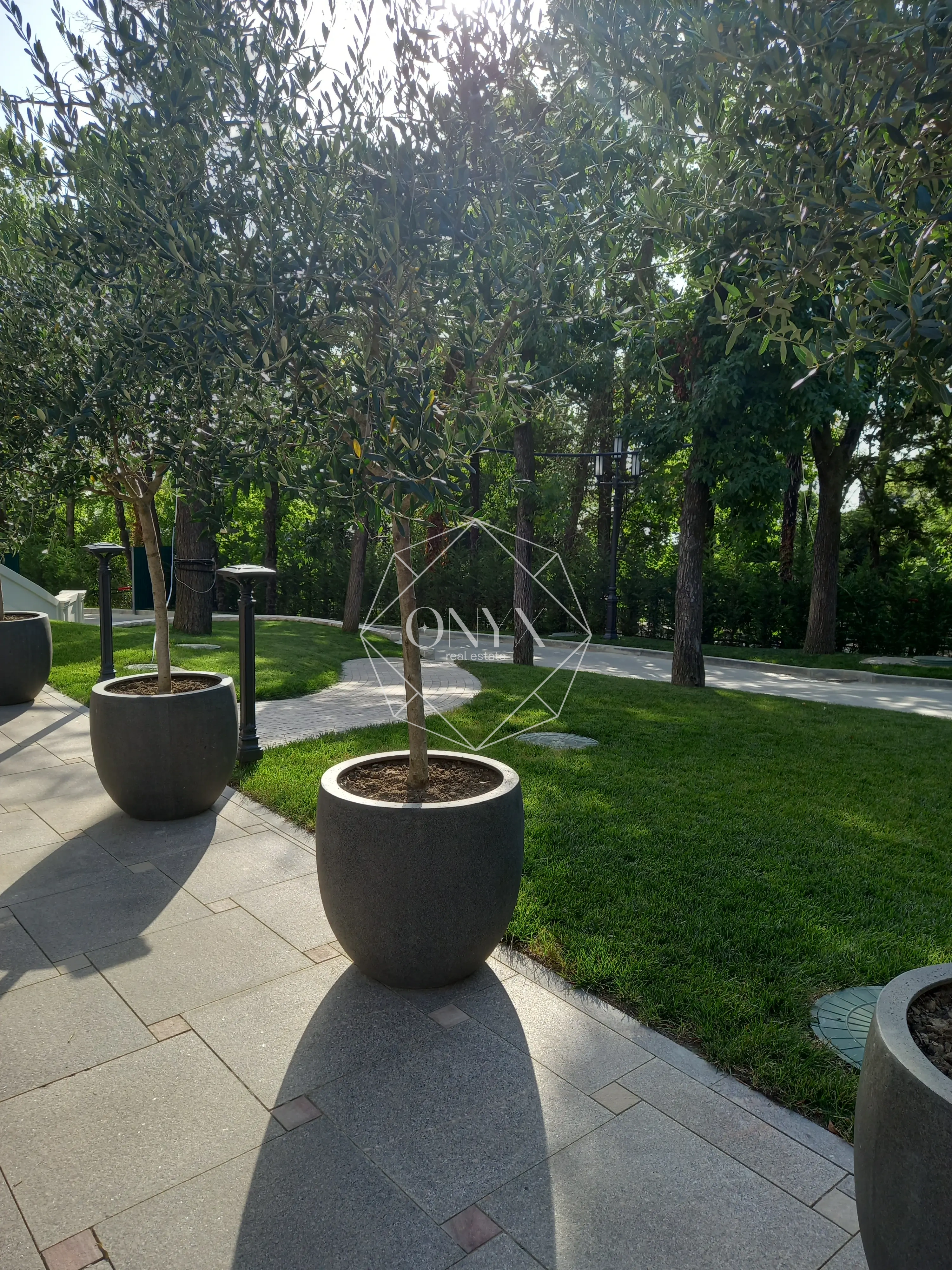 Изображение 23