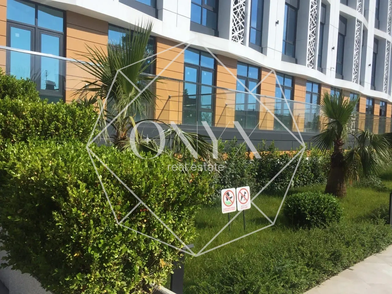 Изображение 12