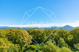 Изображение 17