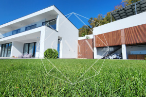 Изображение 16