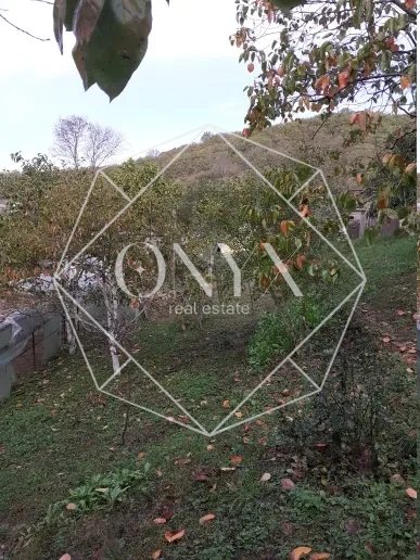 Изображение 13