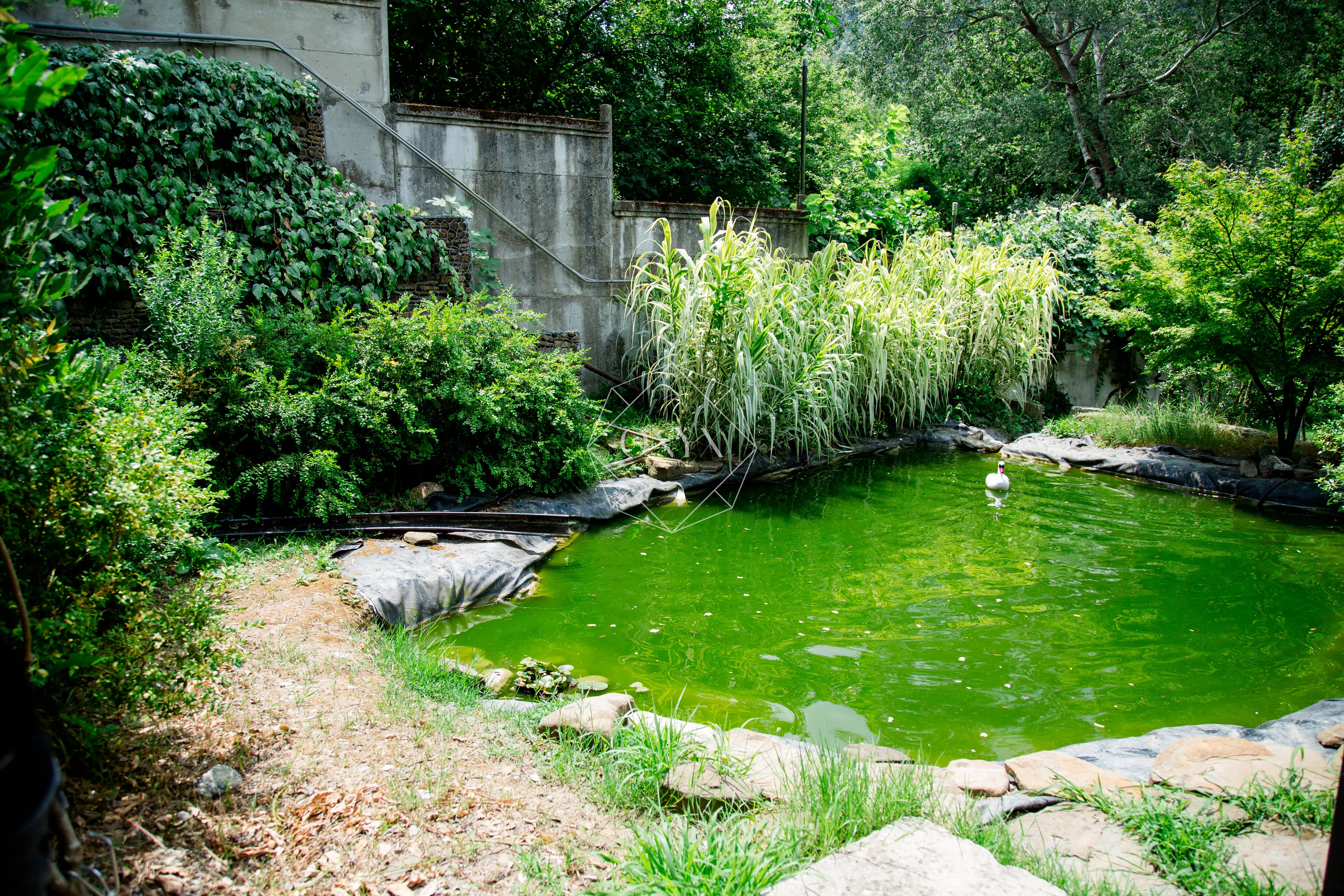 Изображение 8