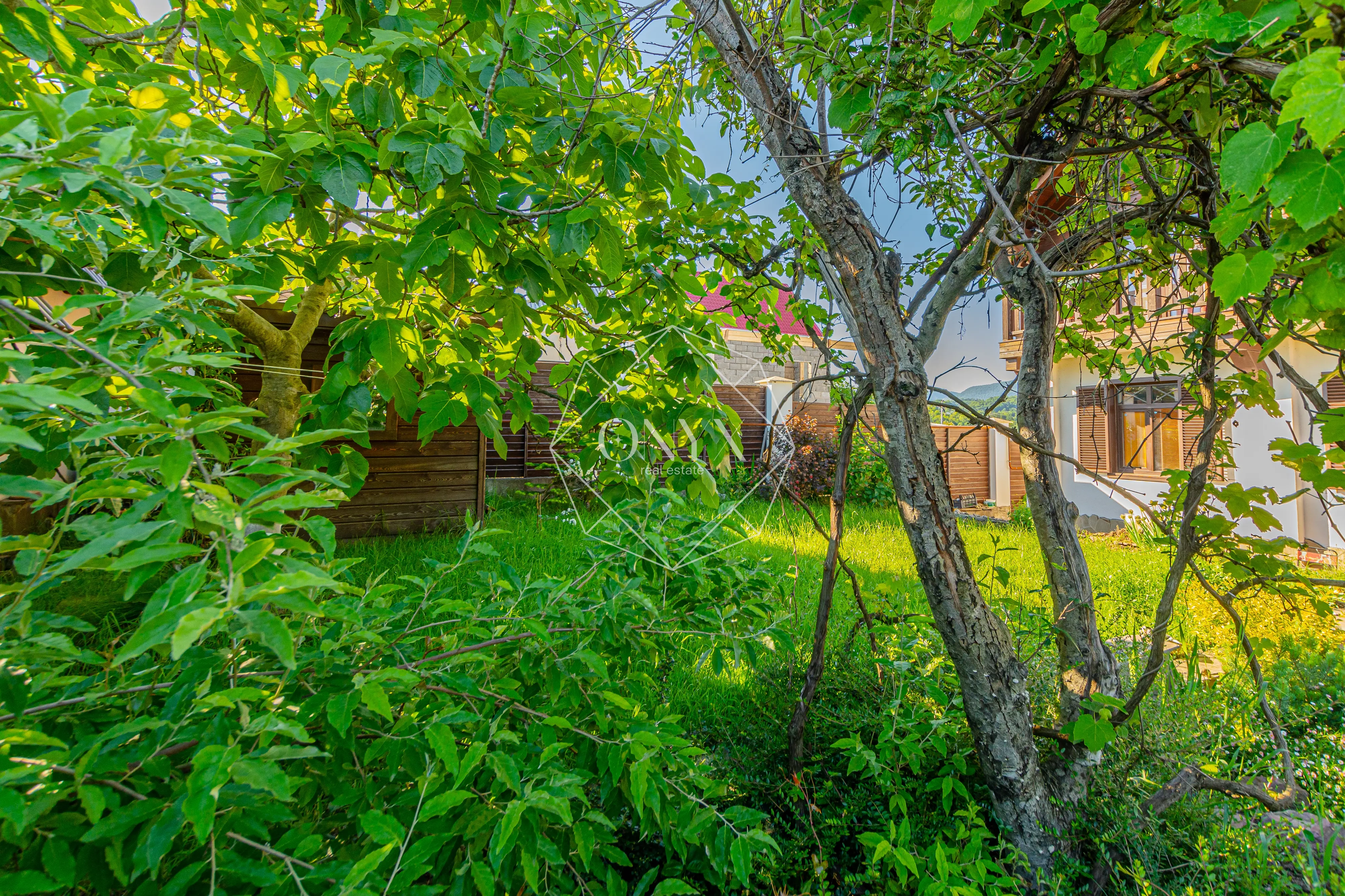 Изображение 29