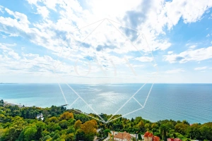 Изображение 19