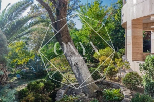 Изображение 8