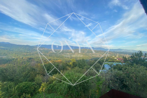 Изображение 12