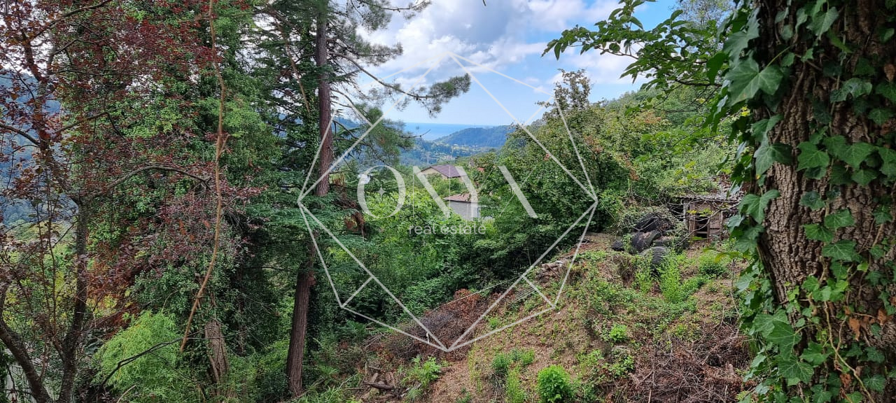 Изображение 9