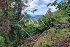 Изображение 9