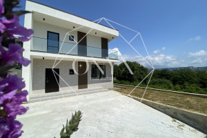 Изображение 11