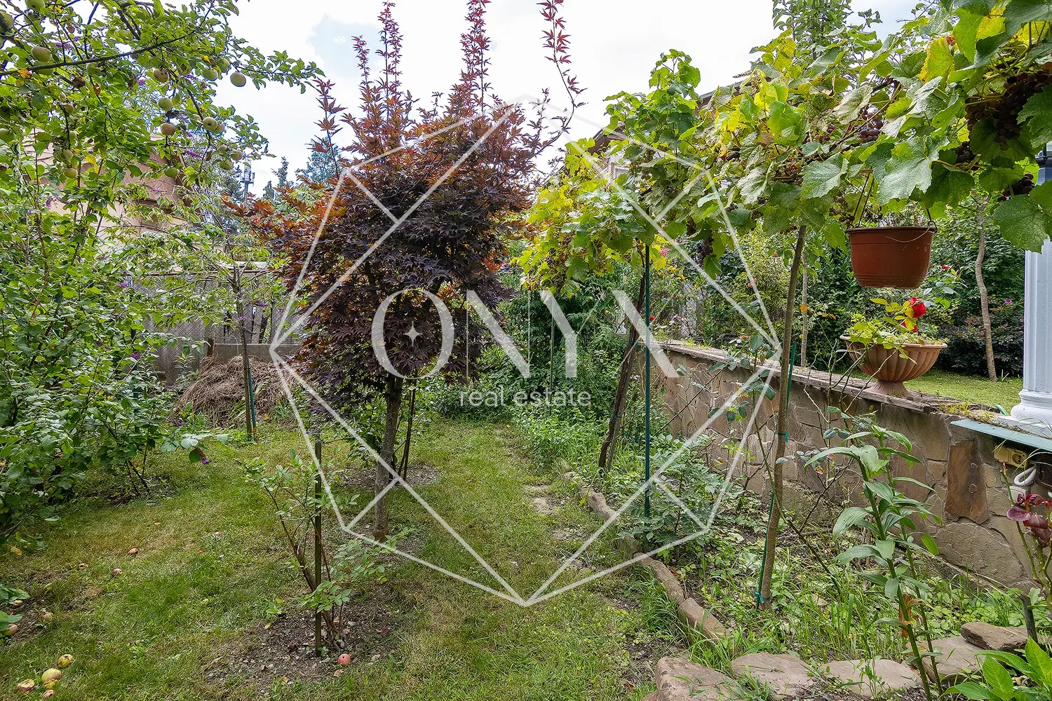 Изображение 18