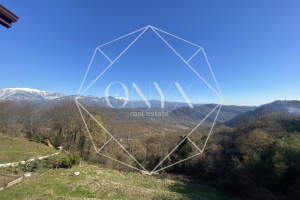 Изображение 22