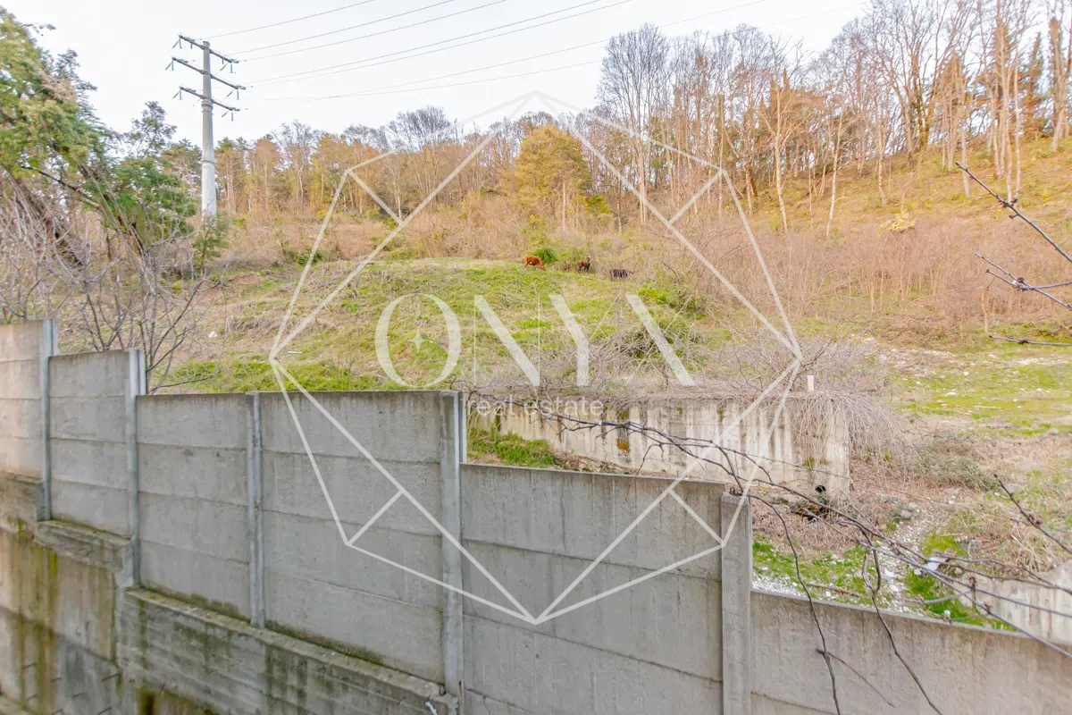 Изображение 16