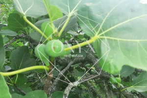 Изображение 9