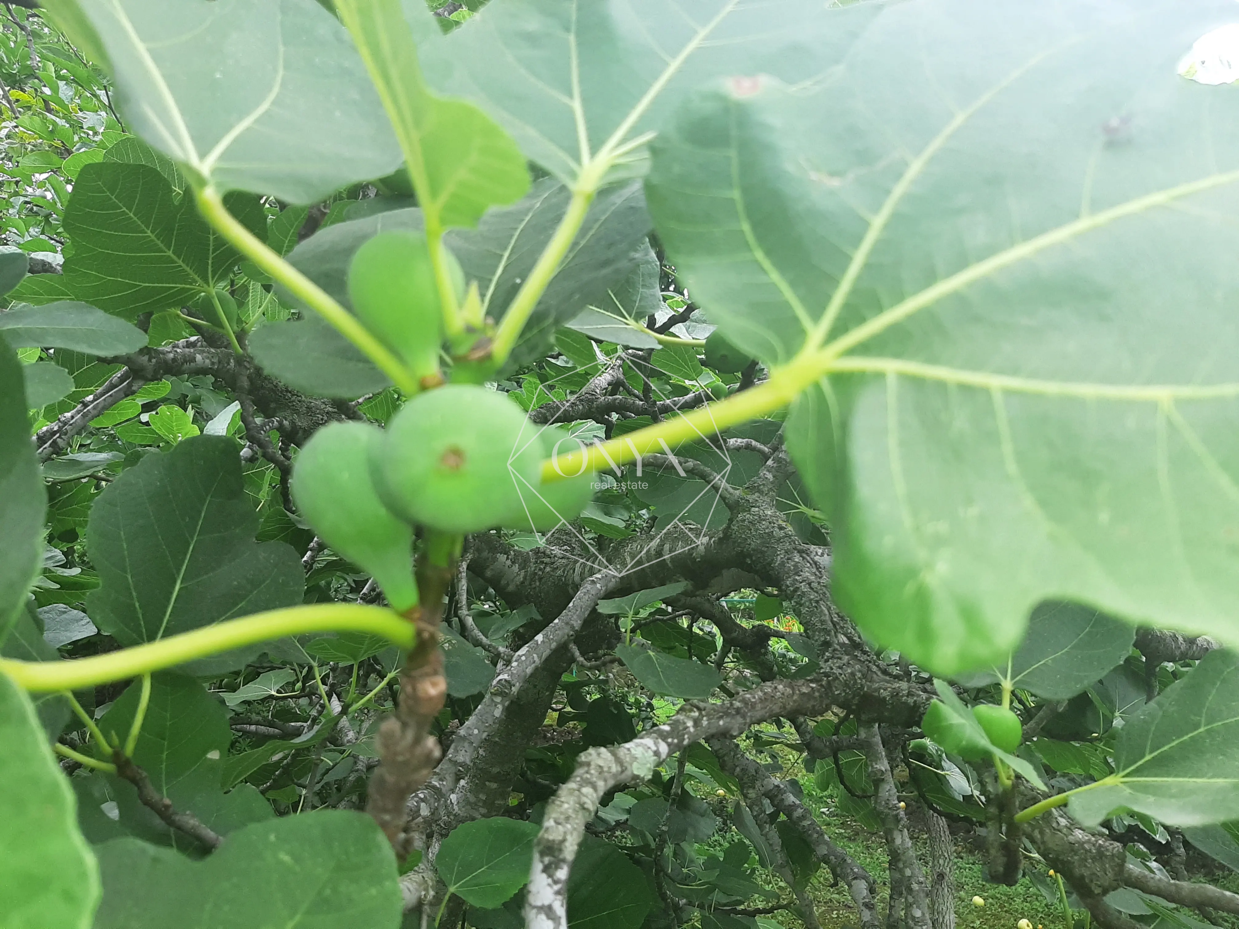 Изображение 9