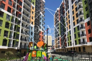 Изображение 3