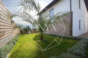 Изображение 23