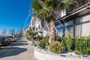 Изображение 13