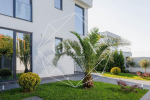 Изображение 14