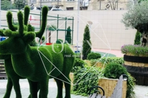 Изображение 20