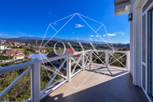 Изображение 13