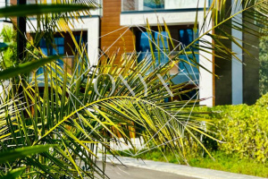 Изображение 9