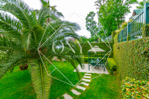 Изображение 24